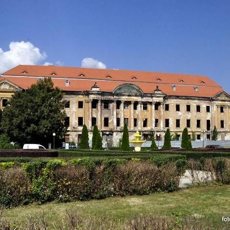 M.S. Piccolo Żary Exterior foto